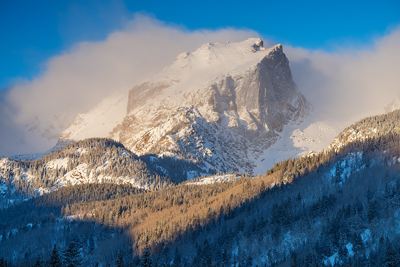 It's a cold blustery February morning in Rocky Mountain National Park. Snow had fallen the previous night and coated the trees...