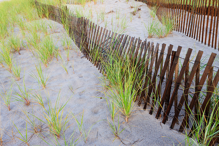 Heavy rain accompanied by large Thunderstorms had swept over the beaches of Southampton, New York the previous night. I arrived...