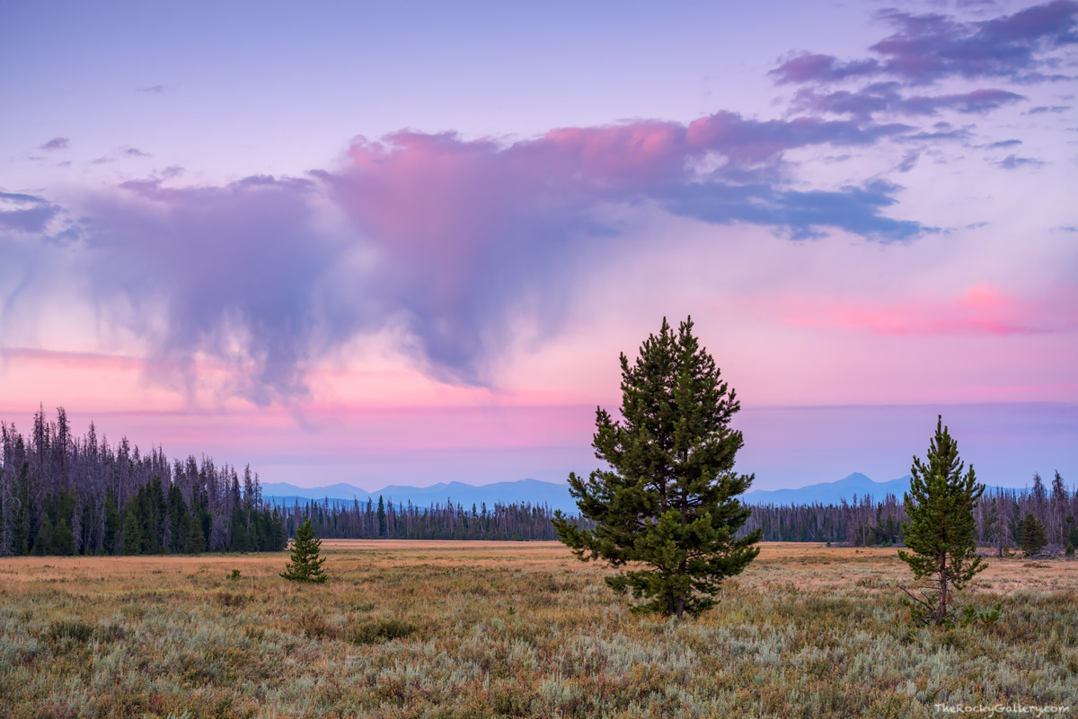 Harbison Meadow is subtle in it's beauty. If you enter Rocky Mountain National Park from Grand Lake on the west side of the park...