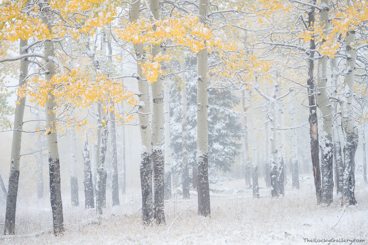 The weather can change quickly in Rocky Mountain National Park and often season collide making for beautiful contrasts on the...