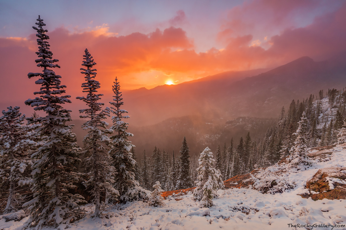 The first snow of the season is always special in Rocky Mountain National Park. Most of the time the turnover from autumn to...