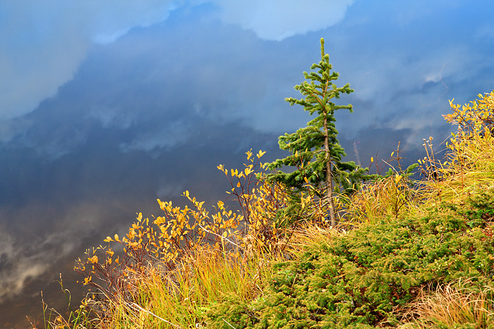 Shades of yellow, red and green cloak the shoreline of Lake Irene in Autumn splendor. Puffy clouds drift overhead and reflect...