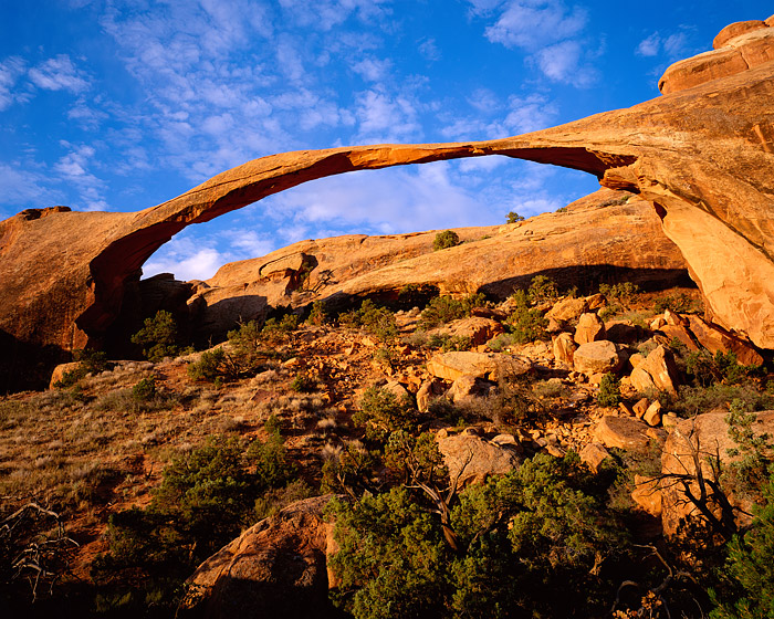 Landscape Arch glows in the early morning desert light. Erosion from freezing and thawing has thined this arch.