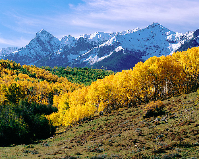 Fall color along the Dallas Divide. Driving from Telluride to Ouray one fall afternoon I drove by this scene and quickly turned...