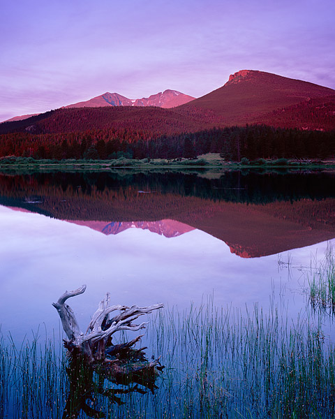 Longs Peak and Mount Meeker reflect in Lily Lake. This is a popular lake located off Highway 7 in the Tahosa Valley. Lily Lake...