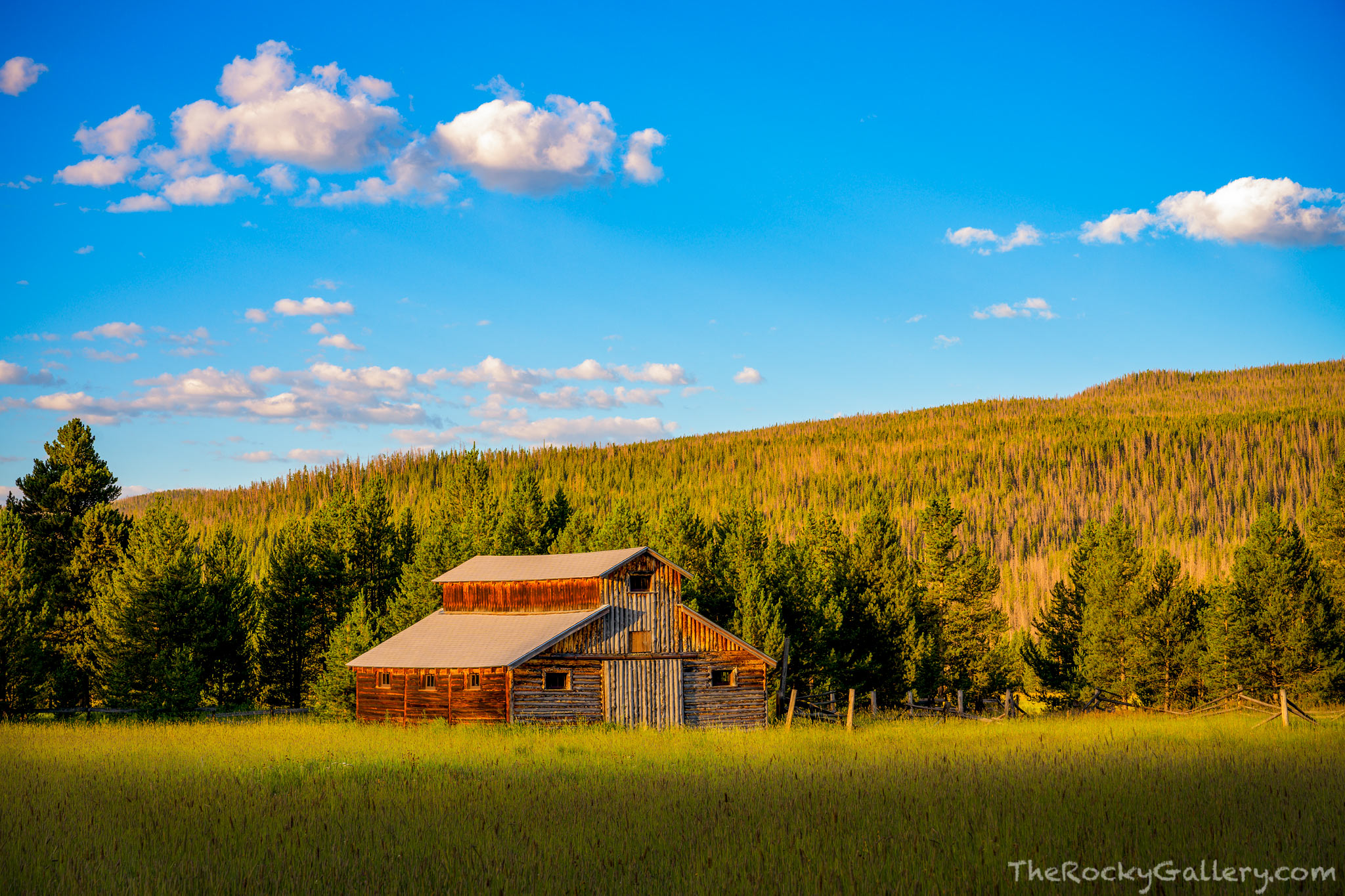 Even on an August morning the Kawuneeche Valley can be a cool place. The Colorado Sun is always warm and welcoming and it felt...