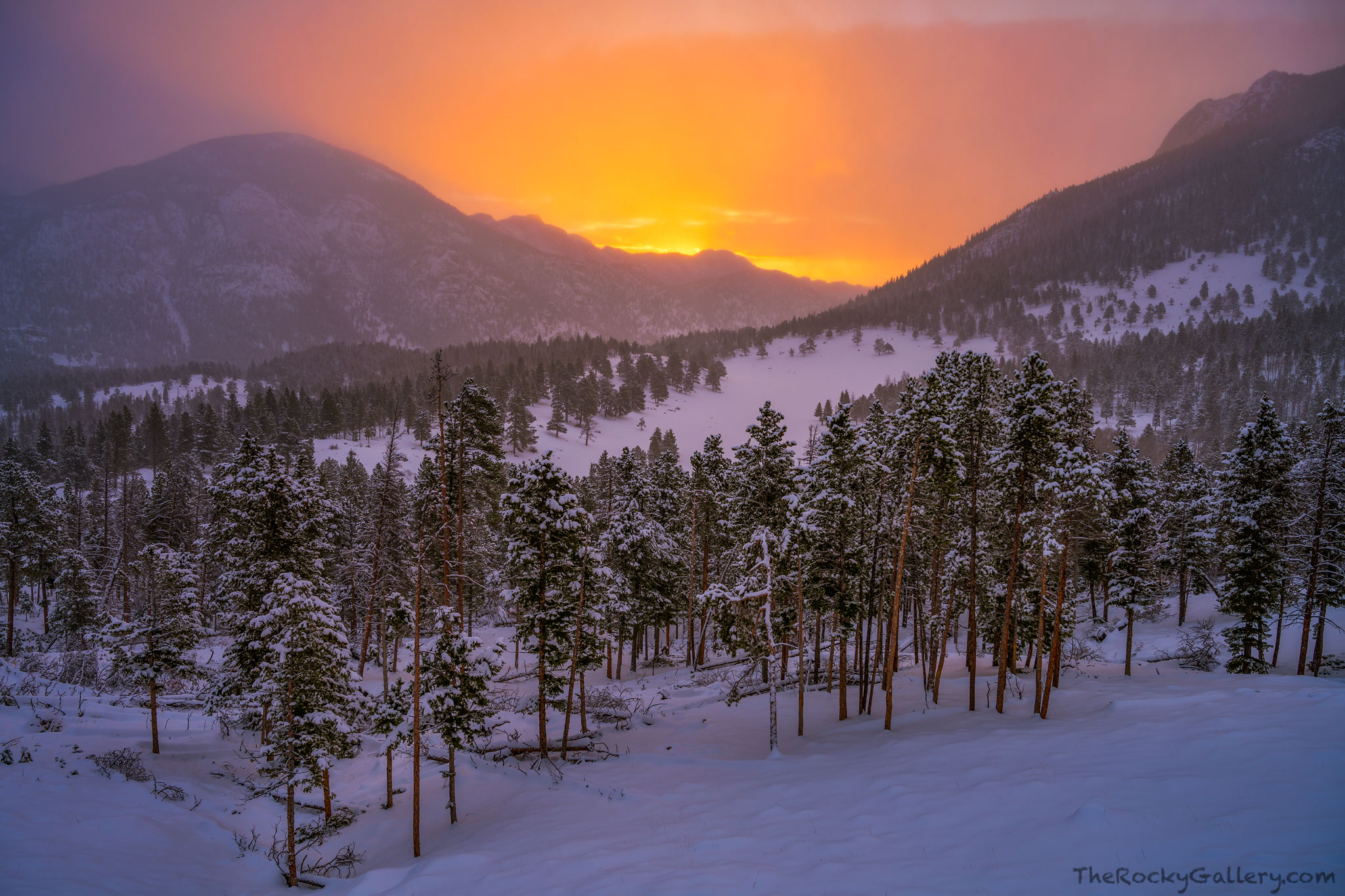 It was a cold snowy morning this day in Rocky Mountain National Park. The snow was still falling just before sunrise as I&nbsp...