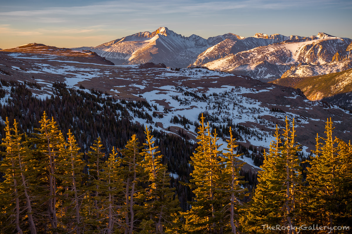 Near the Ute Trail and Trail Ridge Road, high above Rocky Mountain National Park a cool early May morning breaks over Longs Peak...