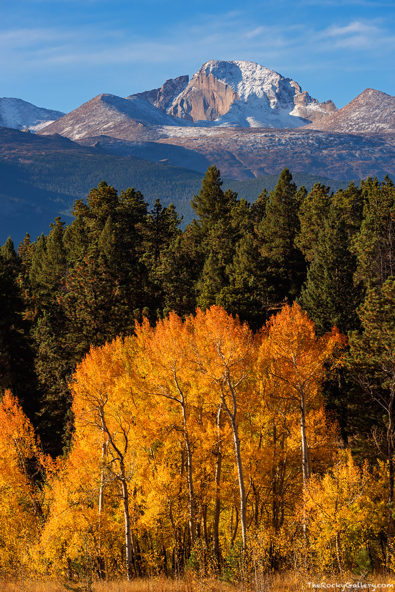 Longs Peak, the highest peak in all of Rocky Mountain National Park at 14,259 ft takes a stately stance high above Beaver Meadows...