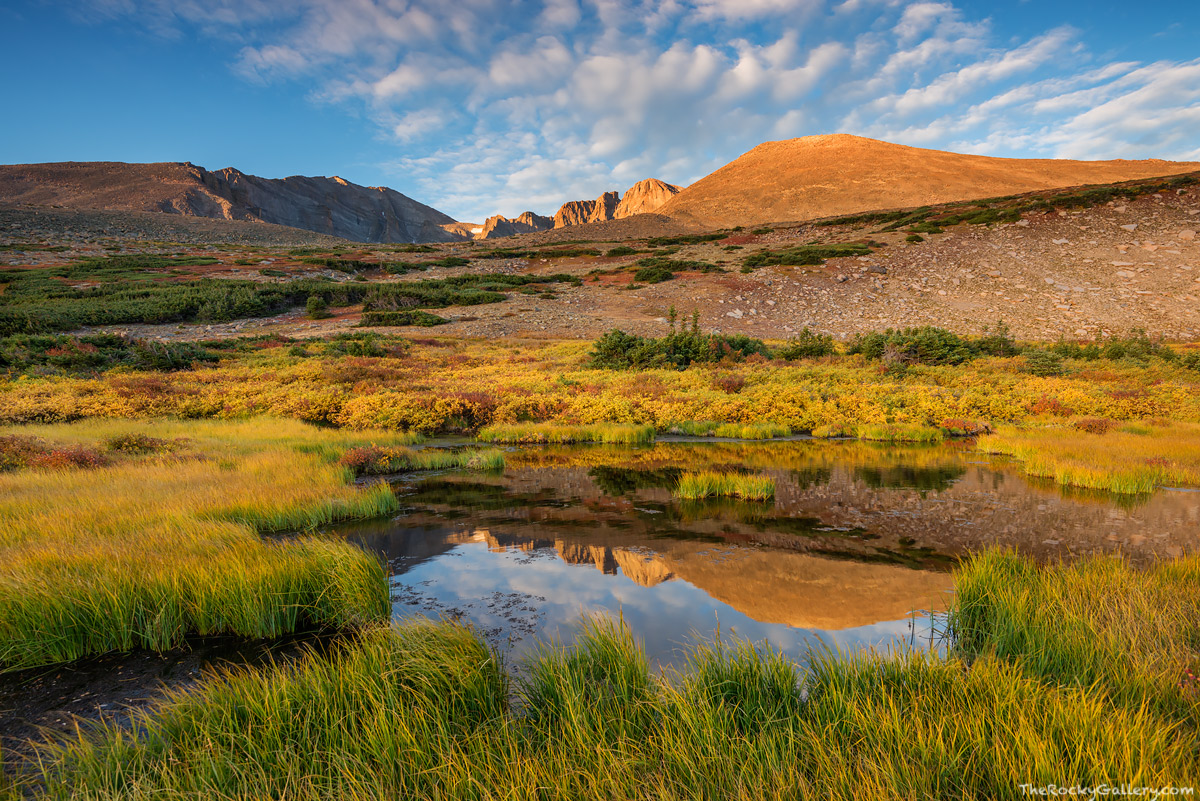 Autumn takes on many shades and colors in Rocky Mountain National Park. Everybody loves photographing and viewing the beautiful...