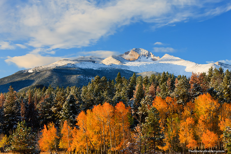 Sunrise lights up Longs Peak from upper Beaver Meadows. An early Autumn snow storm has coated the summit of Longs Peak as well...