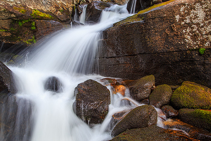 Hunters Creek tumbles through the aptly named Lyric Falls deep in the heart of Wild Basin. Lyric Falls is a small but beautiful...