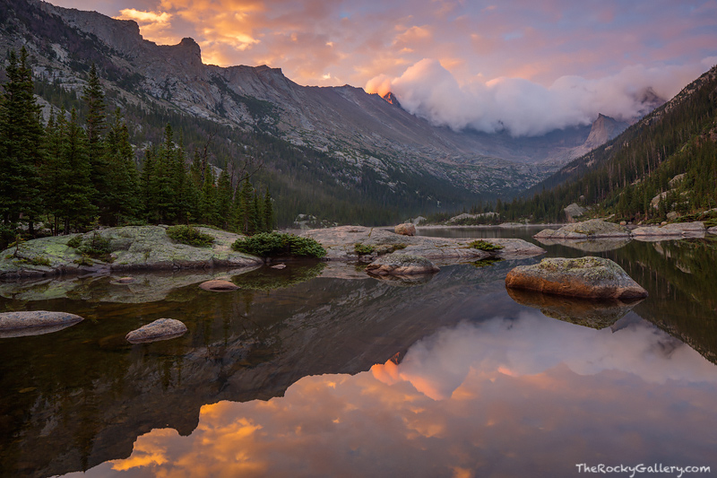 Most consider Enos Mills the champion of the&nbsp;cause that eventually&nbsp;lead to&nbsp;the&nbsp;creation of&nbsp;Rocky Mountain...