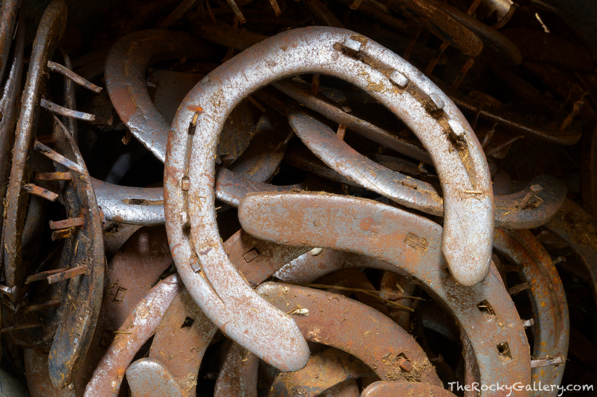 A pile of used&nbsp;horseshoes sits in the stables at Moraine Park. If youve ridden horses in Rocky there is a good chance you...