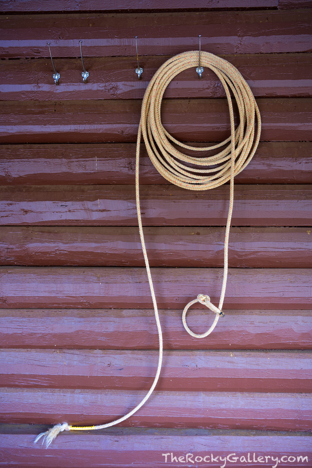A lasso or lariat hangs on the wall at the Moraine Park Stables in Rocky Mountain National Park. A symbol of the west, the lasso...