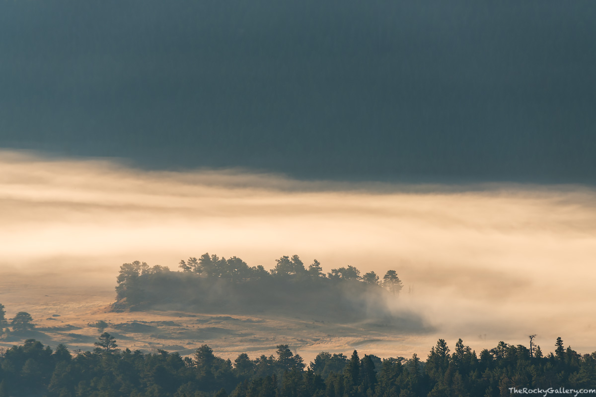 Low lying fog hovers just above the ground in Moraine Park on an October morning. The grasses in Moraine Park and along the Big...