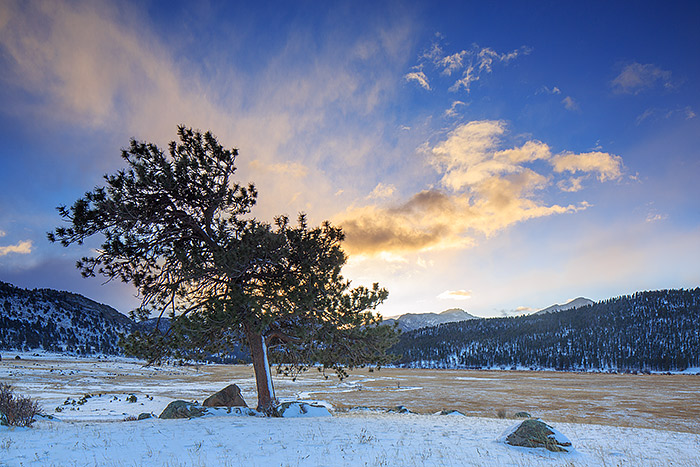 A lone Ponderosa Pine welcomes in the new year from a lookout above Moraine Park and the Big Thompson river. Light snow dusted...