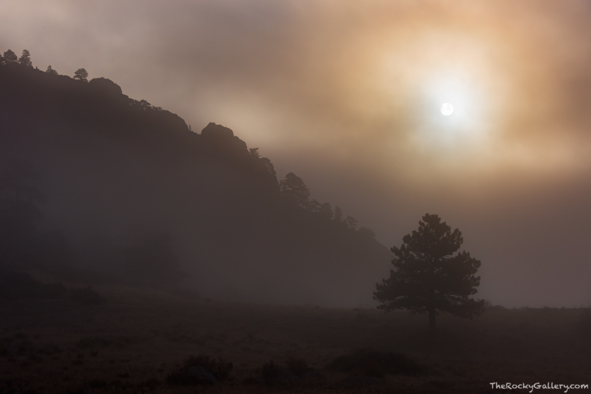 Fog envelops Moraine Park on a cool but magical October morning. With the elk rut underway, the sun is attempting to push through...