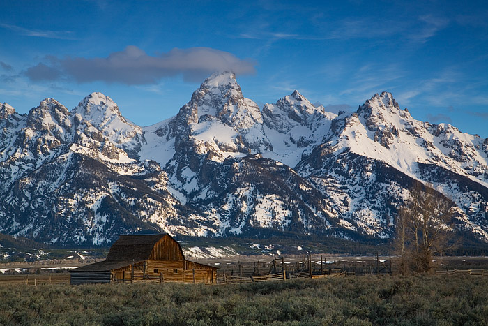 Moulton Barn is flaked by the Grand Tetons on this beautiful morning.