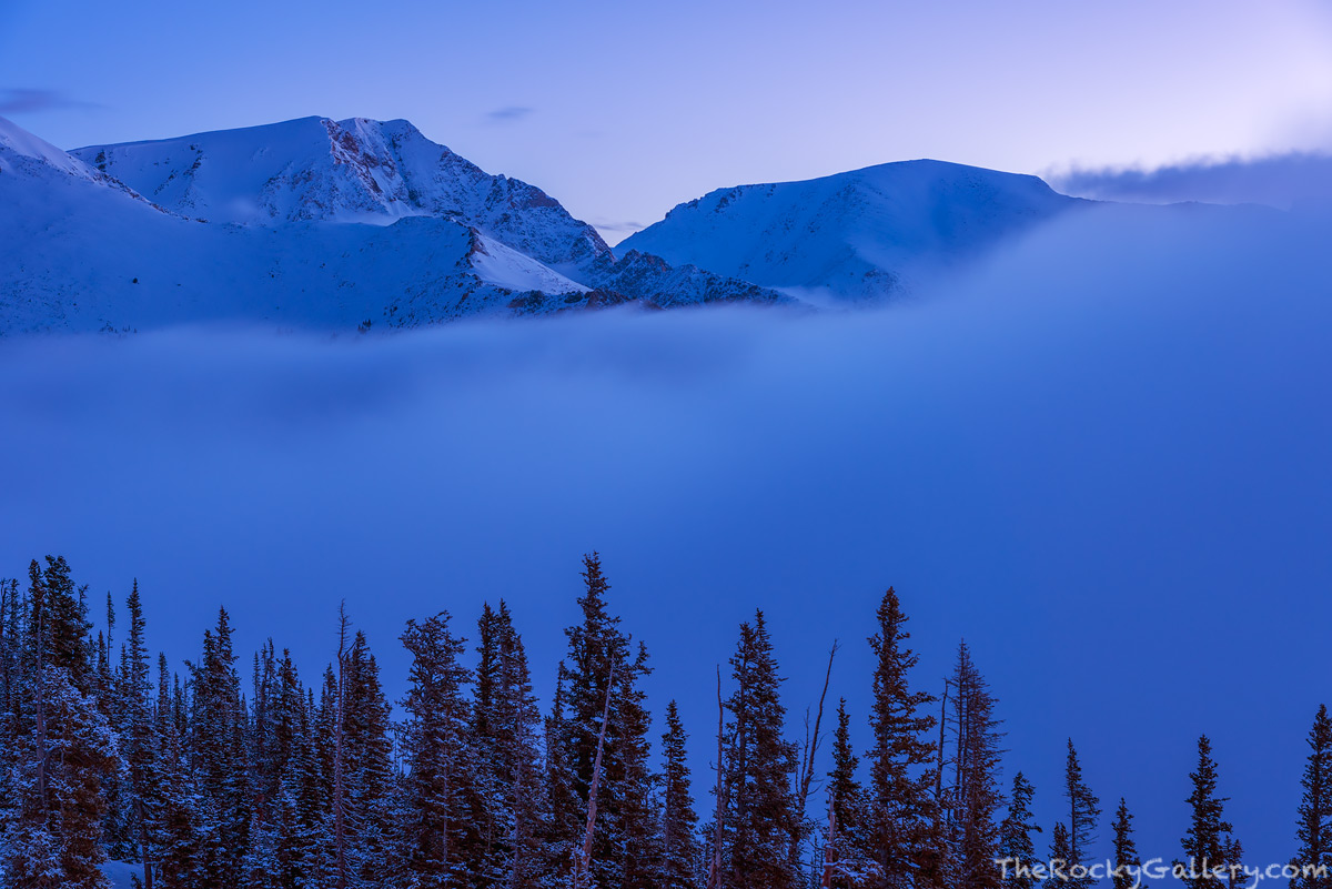 In the predawn blue light, Ypsilon Mountain and the Mummy Range make a brief appearance above the could layer after a night of...