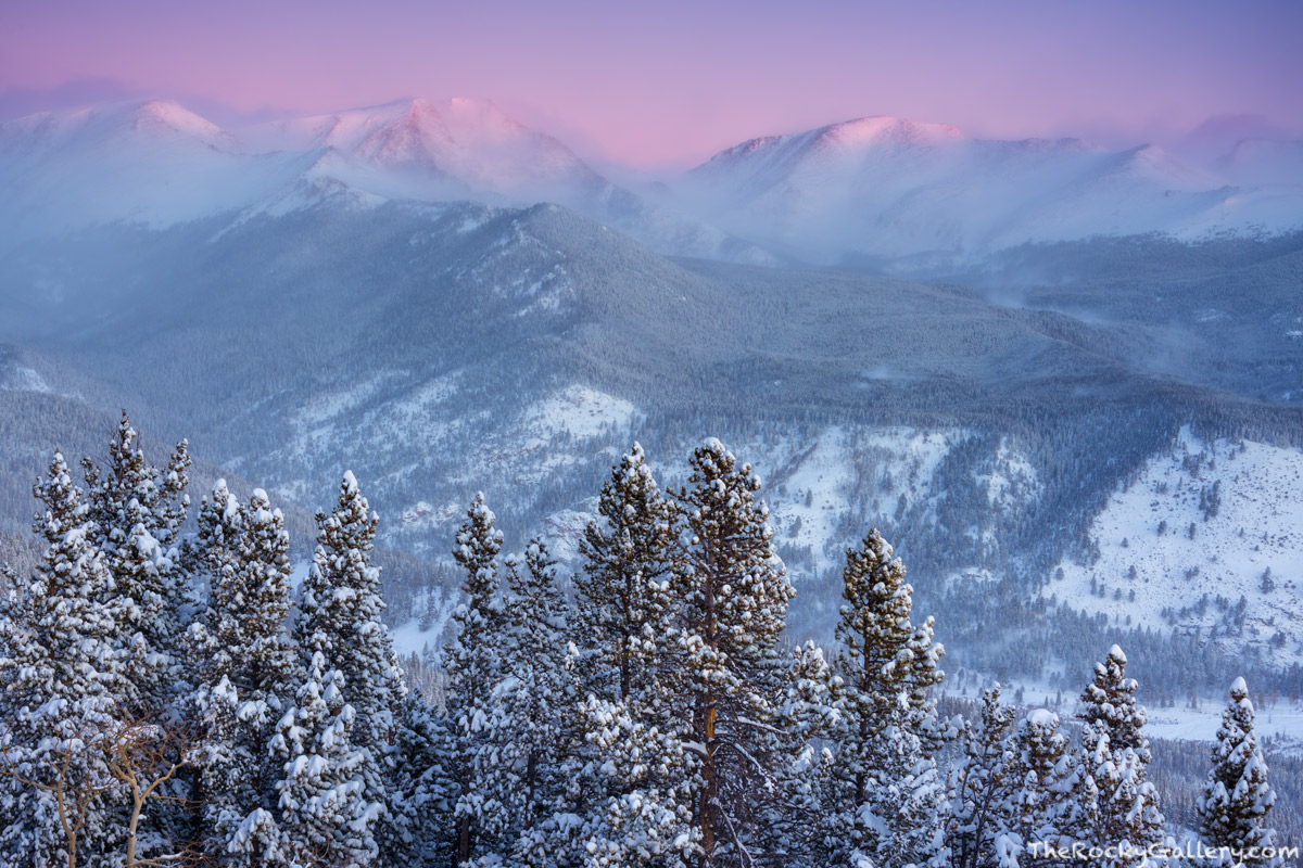 Snow had fallen hard the previous day and blanketed Rocky Mountain National Park in white. The following morning I snowshoed...