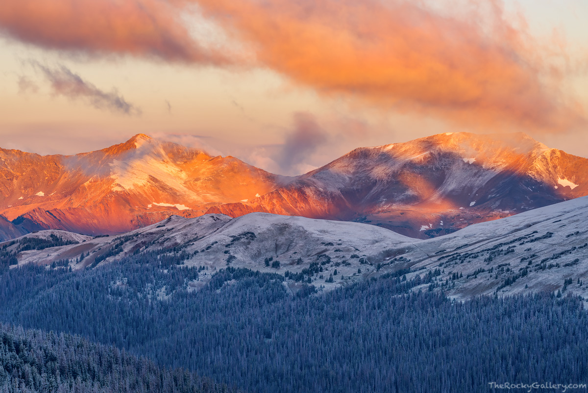 This was a very memorable August morning for me in Rocky Mountain National Park. It was mid August and a cold front had brought...