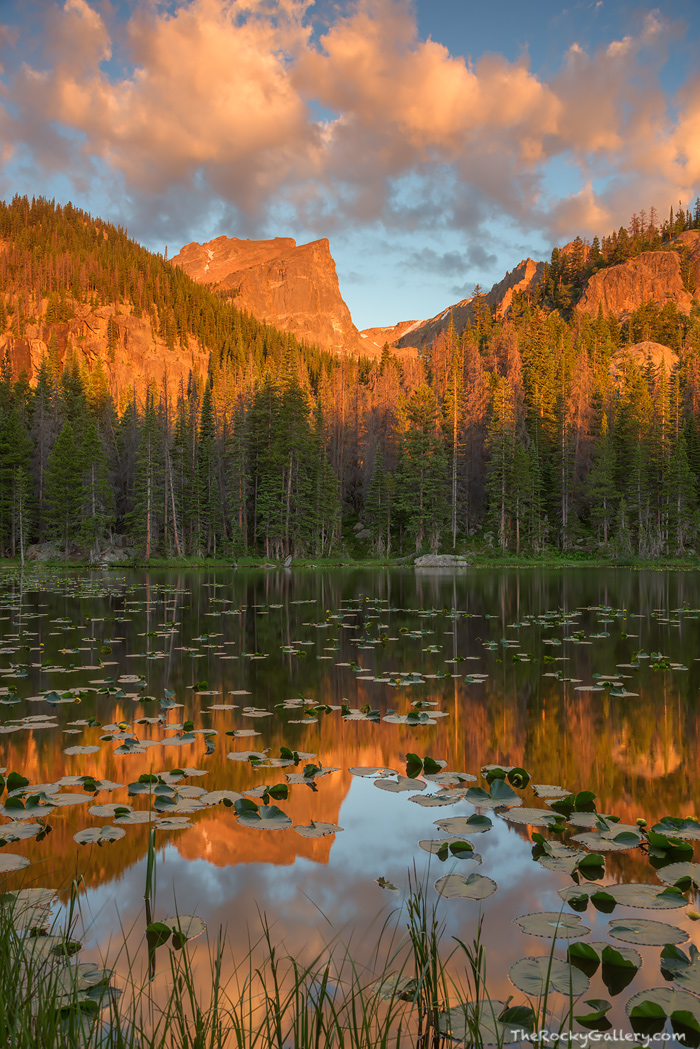 Lilly Pads and Nymph Lake | Rocky Mountain National Park, Colorado ...