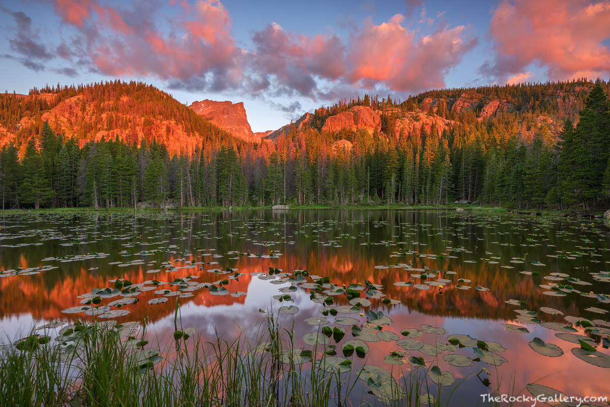 I find there are few more beautiful locations than a mountain lake or pond at sunrise in the summer. The air is cool while the...