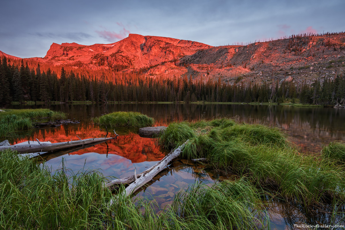 I cant think of any other place in the world that I would rather be than deep in the backcountry of Rocky Mountain National Park...