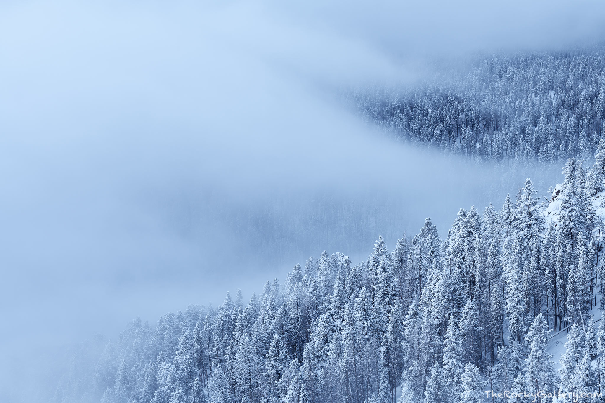 Waves of clouds from an late April snowstorm receed revealing the snow covered pines along Beaver Mountain just above Upper Beaver...