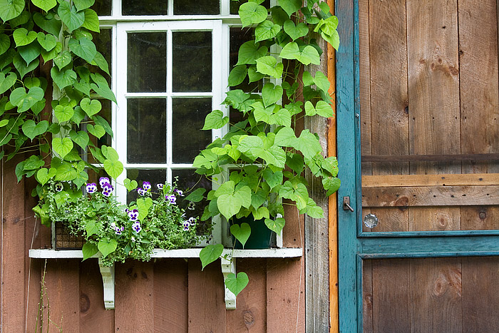 Potting Shed in the Finger Lakes Region of Upstate New York