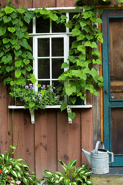 Potting Shed Window and Door in the Finger Lakes Region of New York