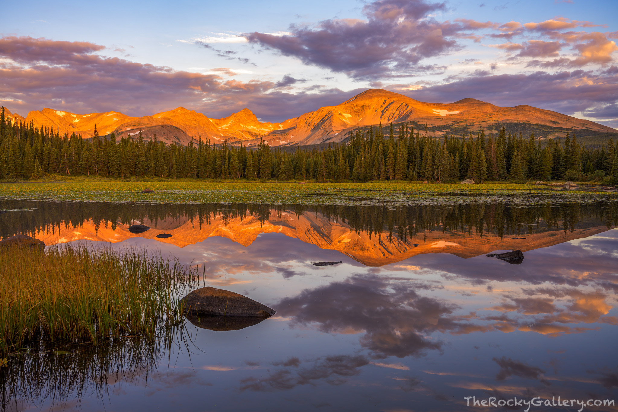 A September sunrise from Red Rocks never dissapoints. The grasses around Red Rock Lake in the Brainard Lake Recreation Area just...