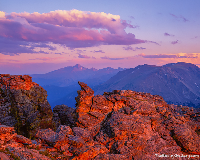 Last light hits the Divide. Longs Peak turns pink in this view from the Rock Cut along Trail Ridge Road. Trail Ridge Road is...