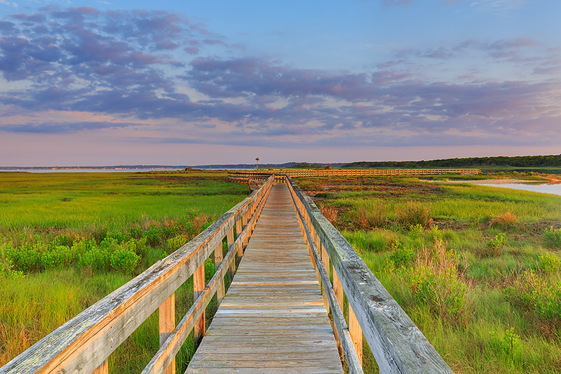 The first rays of sunlight illuminate Shinnecock Bay and the marshlands along the shore. It's a great morning for a stroll along...