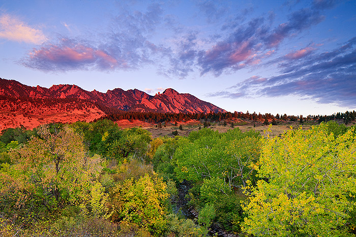 The riparian habitat along the banks of South Boulder creek is quickly turning a to a golden hue as autumn settles in around...