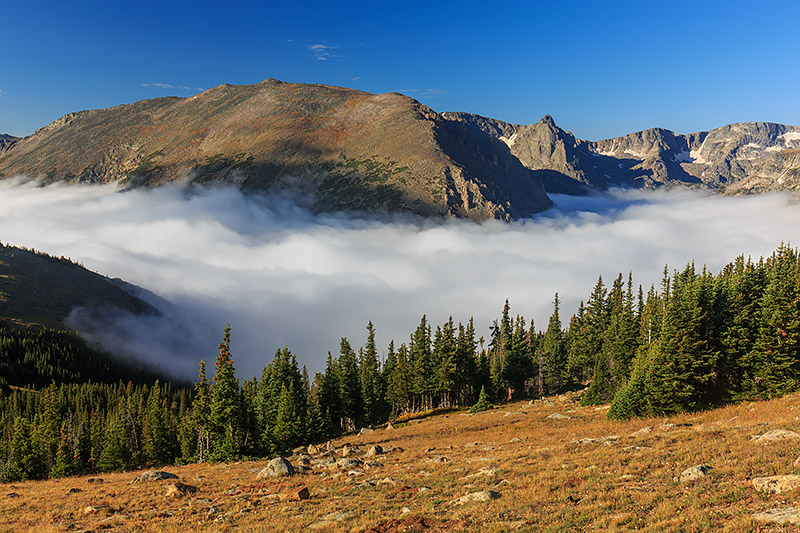 Morning light has revealed a fogged in Forest Canyon which I photographed from along Trail Ridge Road. Below Stones Peak and...