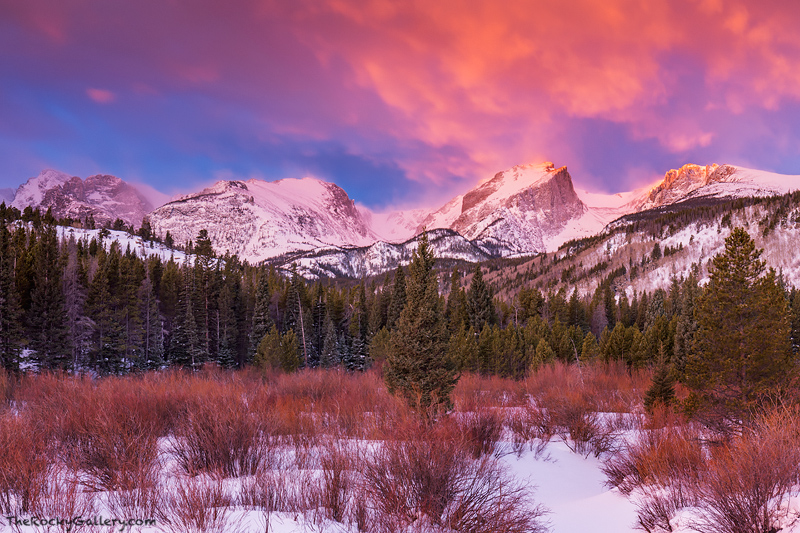 It had been a brutually windy and raw&nbsp;pre-dawn winter morning&nbsp;in&nbsp;Rocky Mountain National Park. The winds were...