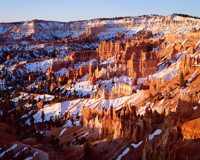 The hoodoos of Bryce Canyon National Park glow in the warn late afternoon sunset. Ironically Sunrise point is one of the better...