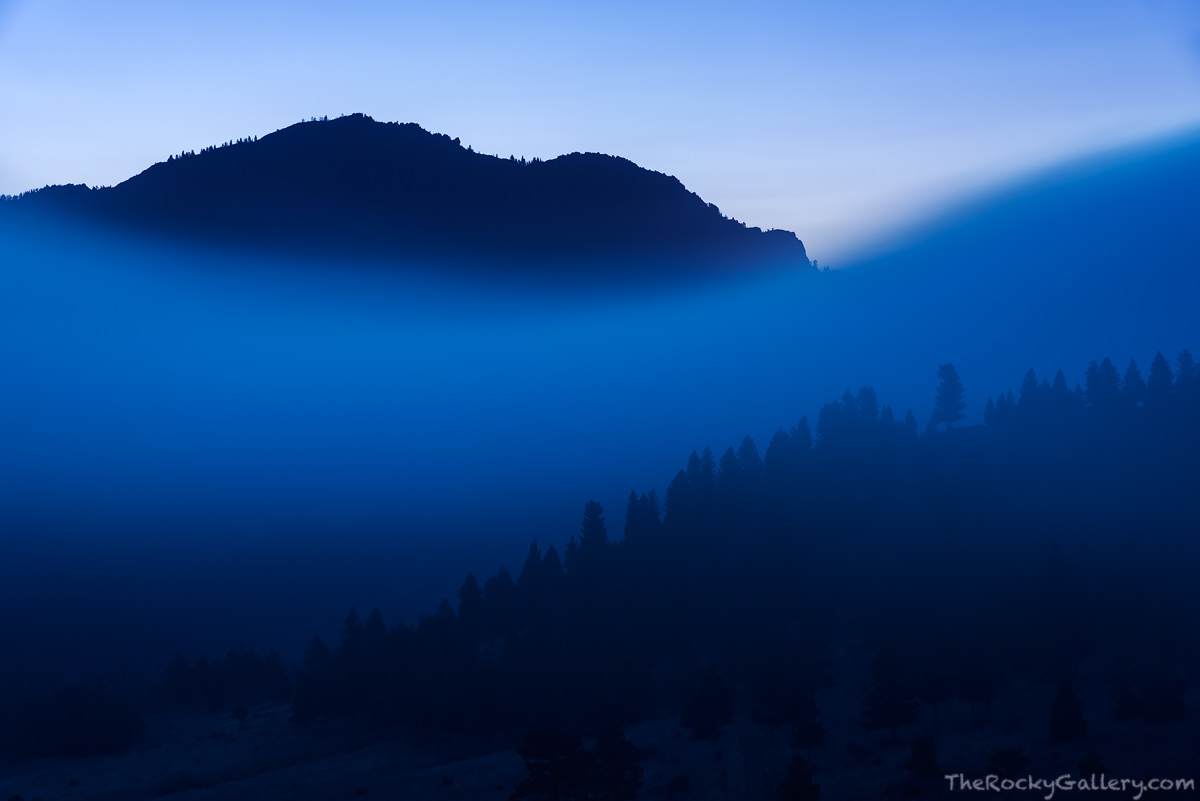 It's predawn at the Walker Ranch Open Space property west of Boulder. Fog drifts behind the back or westside of Boulder beautiful...