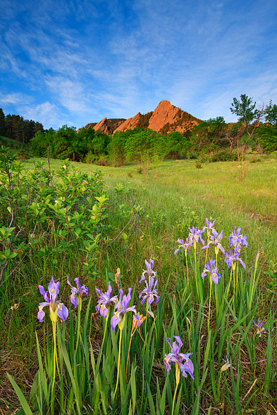 A deep blue sky filled with high cirrus clouds drifts over Chautauqua Park and the Flatirons of Boulder, Colorado. Over the course...